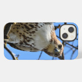 Etui iPhone 13 Buse à queue rousse, Coque Apple iPhone 13 (Verso Horizontal)