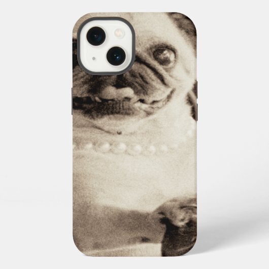 Etui iPhone 13 Cafe pug (Verso)