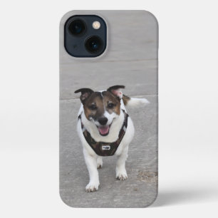 Etui iPhone 13 Capo von Oppenheim, Jack Russell Terrier Chien