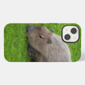 Etui iPhone 13 Capybara Animal Incroyable (Verso Horizontal)
