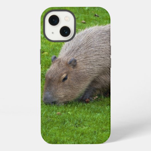 Etui iPhone 13 Capybara Animal Incroyable (Verso)