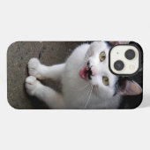 Etui iPhone 13 Chat avec Moustache (Verso Horizontal)
