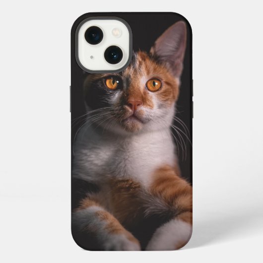 Etui iPhone 13 Chat doux (Verso)