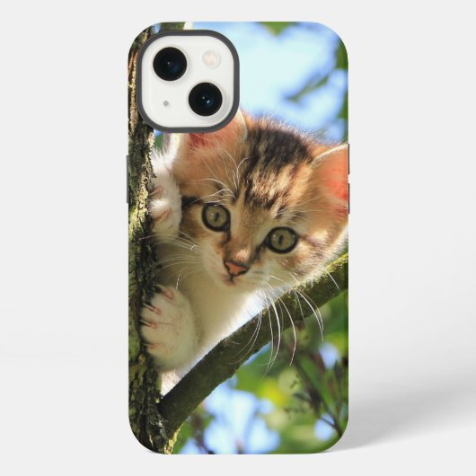 Etui iPhone 13 Chat, Nature, Chatons (Verso)
