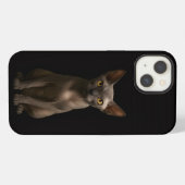 Etui iPhone 13 Chat Sphynx Noir 4 Luxe iPhone 13 (Verso Horizontal)