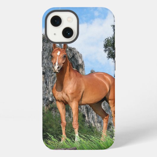 Etui iPhone 13 Cheval (Verso)