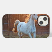Etui iPhone 13 Cheval arabe gris (Verso Horizontal)
