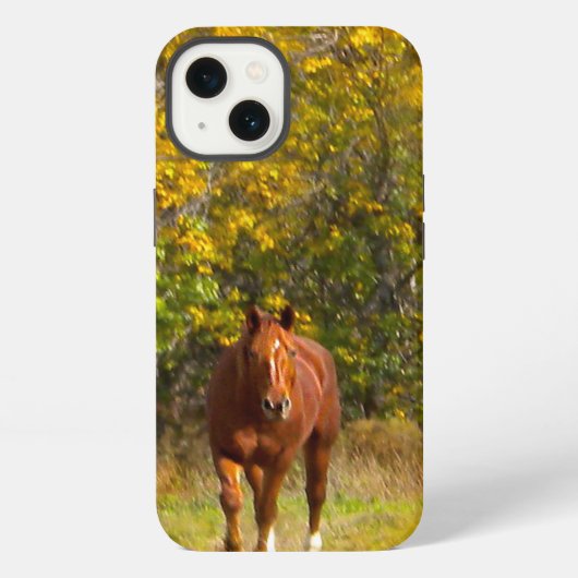 Etui iPhone 13 Cheval d'automne (Verso)