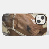 Etui iPhone 13 Chevaux arabes (Verso Horizontal)