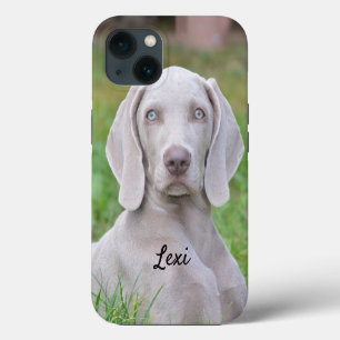 Etui iPhone 13 Chien de race Weimaraner personnalisé