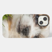Etui iPhone 13 Chiot mignon (Shitzu) (Verso Horizontal)
