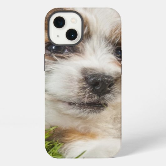 Etui iPhone 13 Chiot mignon (Shitzu) (Verso)
