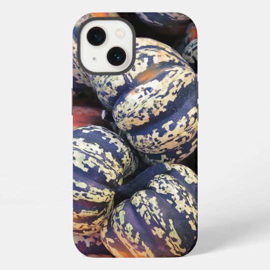 Etui iPhone 13 Citrouilles rayées rustiques (Verso)