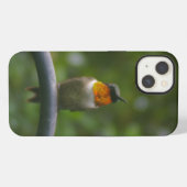 Etui iPhone 13 Colibri (Verso Horizontal)