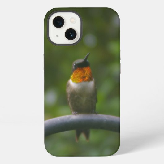 Etui iPhone 13 Colibri (Verso)
