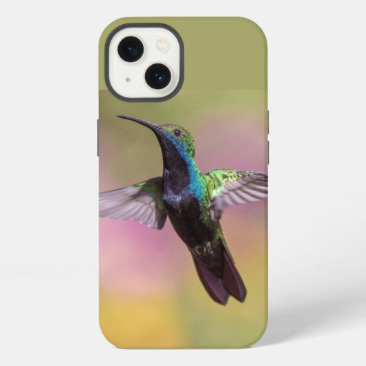 Etui iPhone 13 Colibri  (Verso)