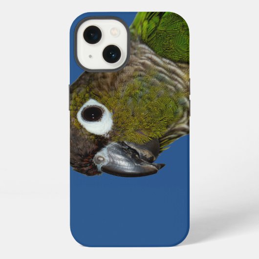 Etui iPhone 13 Conure à joues vertes (Verso)