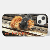Etui iPhone 13 Coque-Mate Cuties Catnap coque iphone (Verso Horizontal)