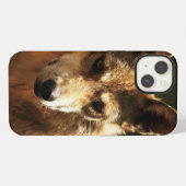 Etui iPhone 13 Coque Wolf ou Pet iPhone 13 (Verso Horizontal)