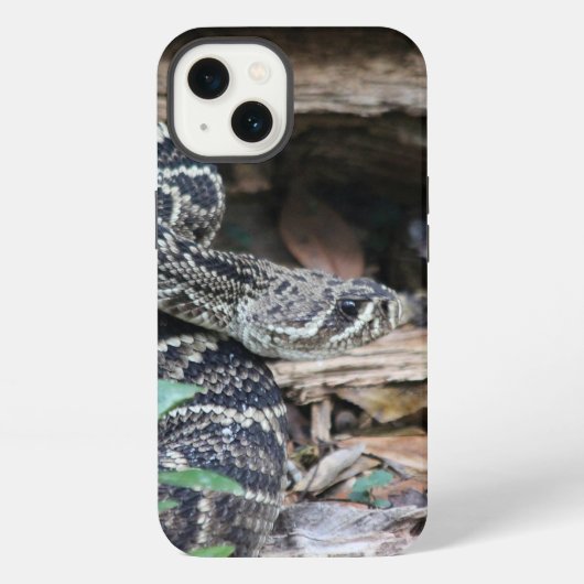 Etui iPhone 13 Coques iphone de rotin (Verso)