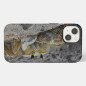 Etui iPhone 13 Crabes, crustacés, sable (Verso Horizontal)