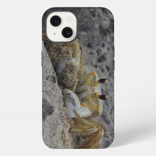 Etui iPhone 13 Crabes, crustacés, sable (Verso)