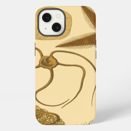 Etui iPhone 13 Créatures sous-marines de mer (Verso)