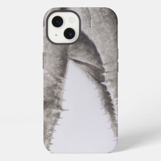Etui iPhone 13 Crocodile 2005 (Verso)