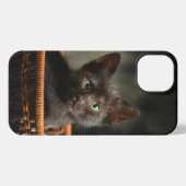 Etui iPhone 13 Cutest Baby Animals | Kitten in Basket (Verso Horizontal)