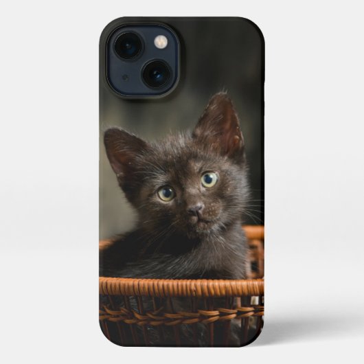 Etui iPhone 13 Cutest Baby Animals | Kitten in Basket (Verso)