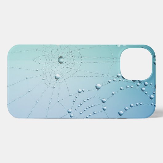 Etui iPhone 13 Eau (Verso Horizontal)