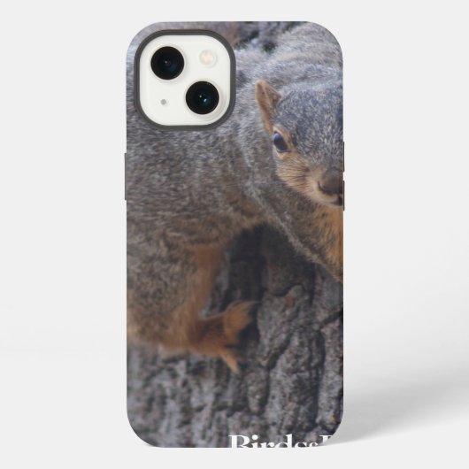 Etui iPhone 13 Écureuil agrippé (Verso)