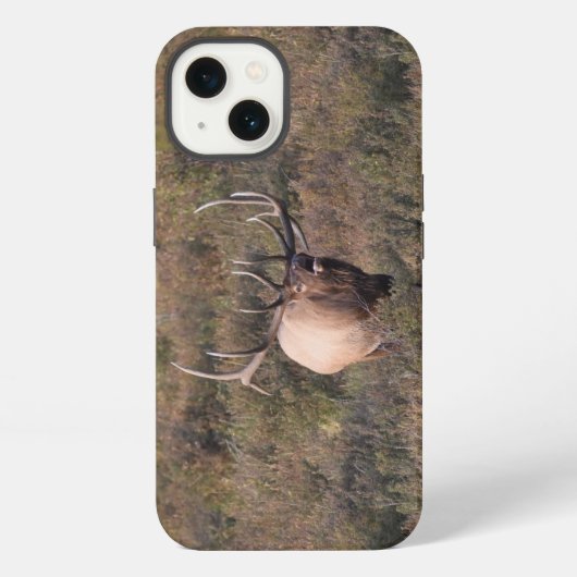 Etui iPhone 13 Élan bugling (Verso)