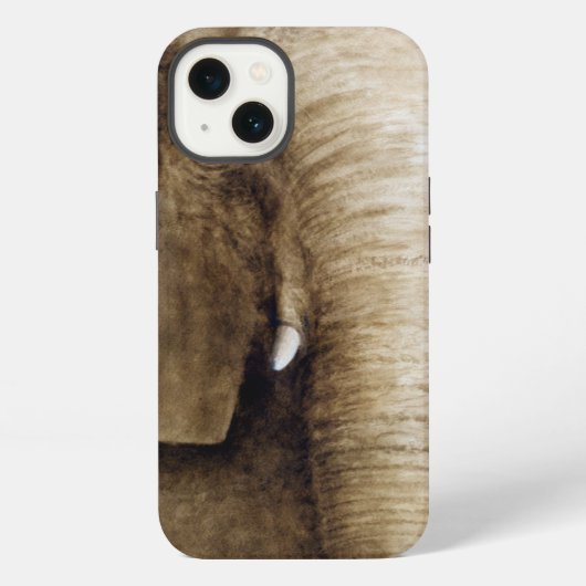 Etui iPhone 13 Éléphant 2004 (Verso)