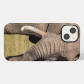 Etui iPhone 13 Éléphant dans une pose agressive (Verso Horizontal)