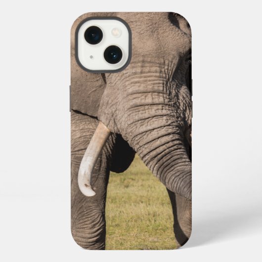 Etui iPhone 13 Éléphant dans une pose agressive (Verso)