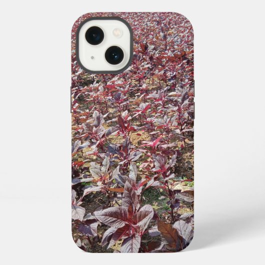 Etui iPhone 13 Étui Apple iPhone 13 Case-Mate Tough (Verso)
