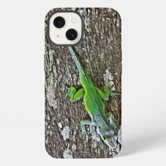 Etui iPhone 13 Étui Gecko (Verso)