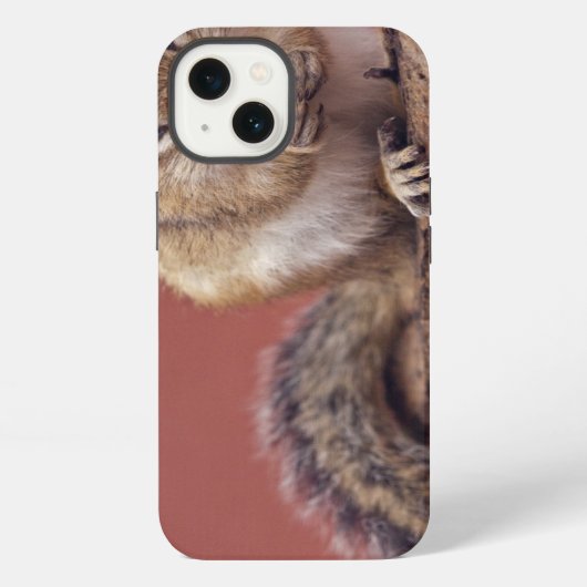 Etui iPhone 13 Étui pour iPad Chippie (Verso)