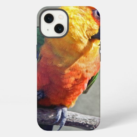 Etui iPhone 13 Étui pour iPad Conure Jenday (Verso)
