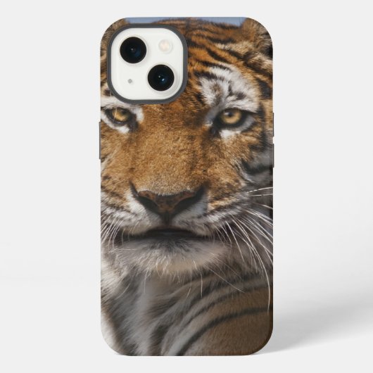 Etui iPhone 13 Étui pour iPad Lola (Verso)