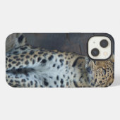 Etui iPhone 13 Étui pour iPhone 6 Léopard de l'Amour (Verso Horizontal)