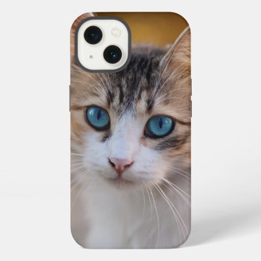 Etui iPhone 13 étui pour iPhone Case-Mate chat (Verso)