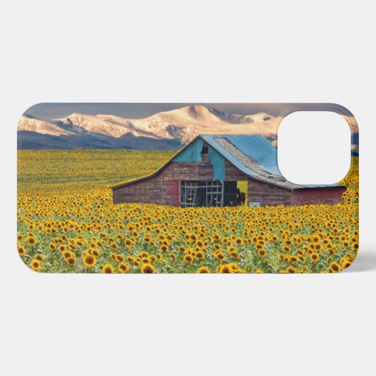 Etui iPhone 13 Farms | Field (Verso Horizontal)