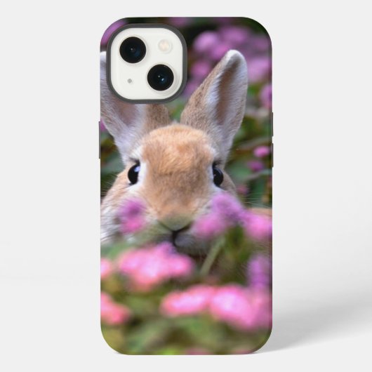 Etui iPhone 13 Ferme de lapins (Verso)
