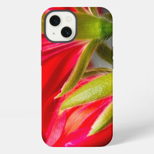Etui iPhone 13 Fermeture de la vinification du géranium à partir (Verso)