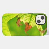 Etui iPhone 13 Feuille d'érable malade (Verso Horizontal)