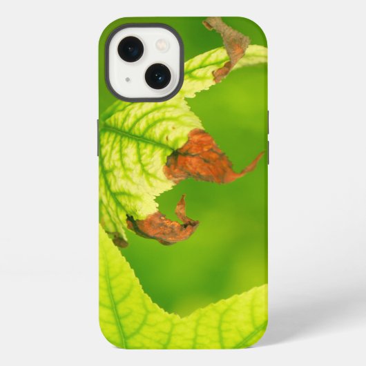 Etui iPhone 13 Feuille d'érable malade (Verso)