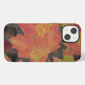 Etui iPhone 13 Feuilles d'automne (Verso Horizontal)