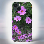 Etui iPhone 13 Fleurs de Cosmos avec des galets sur un